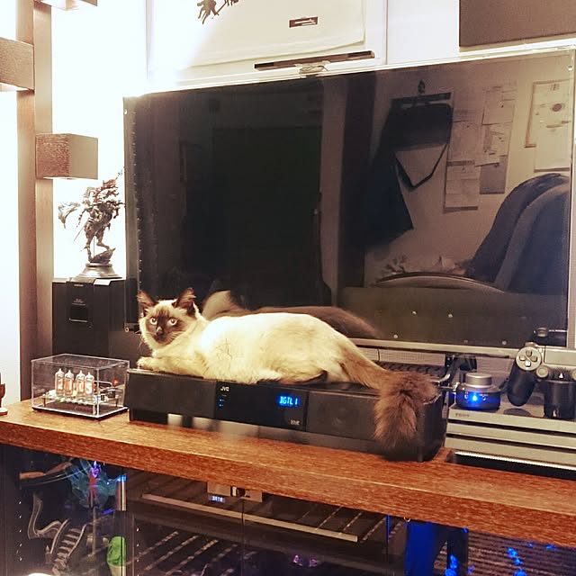 House20さんの実例写真