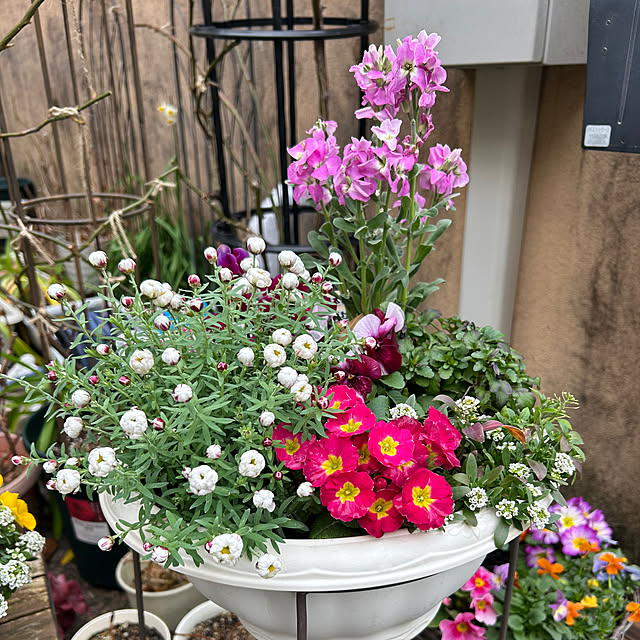 fumikoiさんの部屋