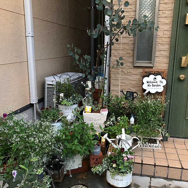 chiichanさんの実例写真