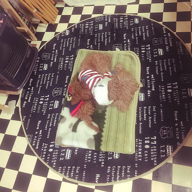 sei.kan.hide.chiyoさんの実例写真