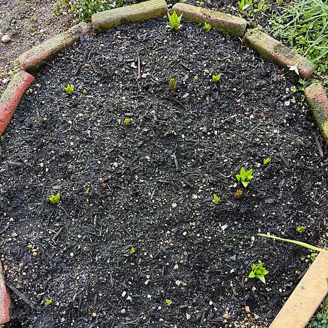 ritsukoさんの部屋