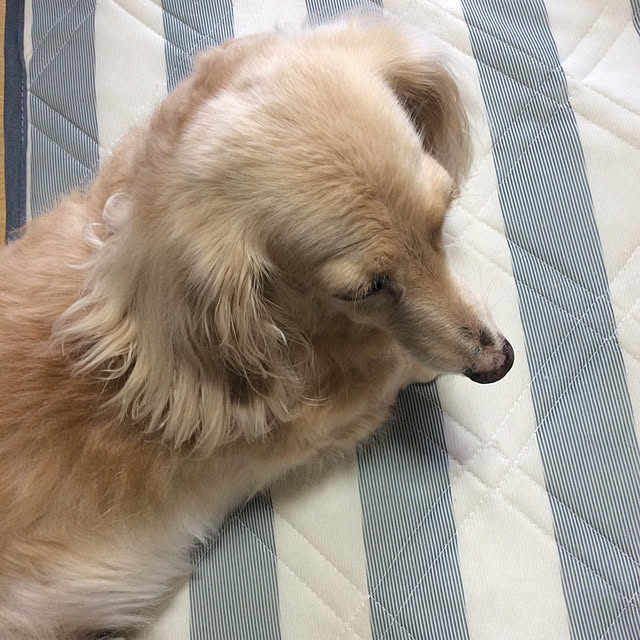 twinkle-star7267さんの実例写真