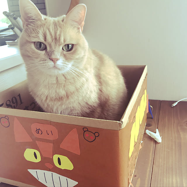 chi-さんの実例写真