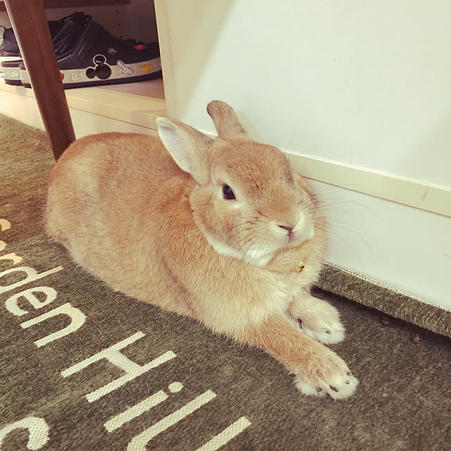 Yasuyukiさんの実例写真
