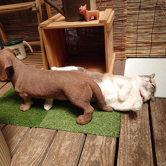 fukuさんの実例写真