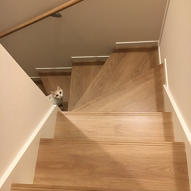 noarikoさんの実例写真