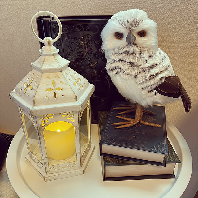 chiiさんの実例写真