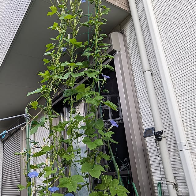 mofukoさんの部屋