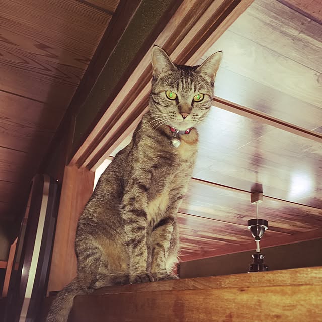ema_panさんの実例写真