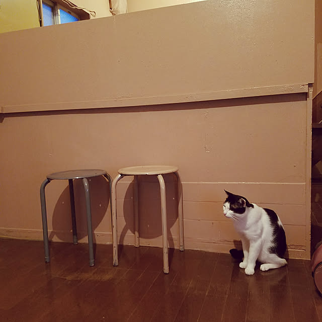 yukitadaさんの実例写真
