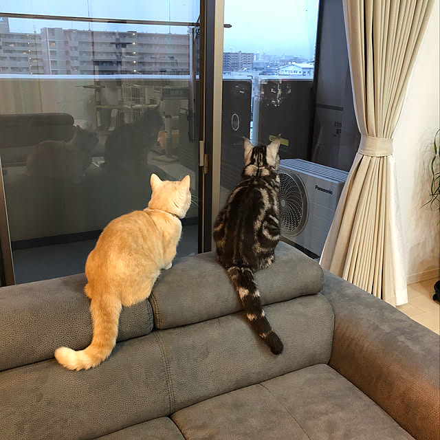 mutsuさんの実例写真