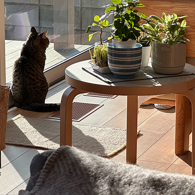 yococo_kurashiさんの実例写真