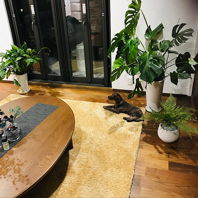 実例写真