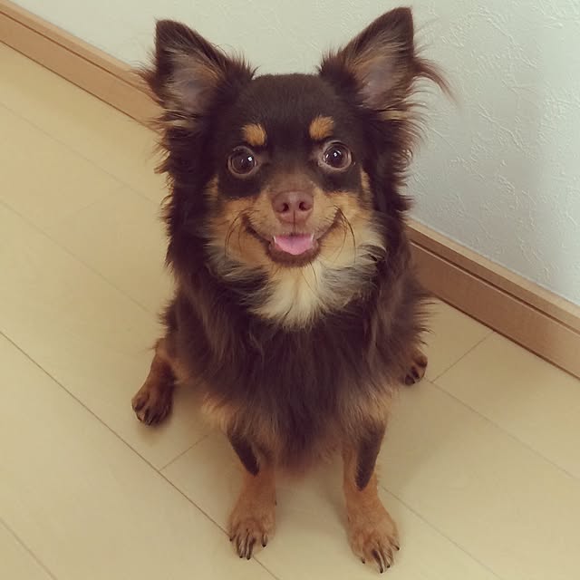 miyuさんの実例写真