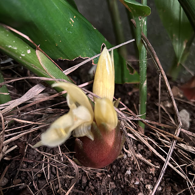 ritsukoさんの部屋