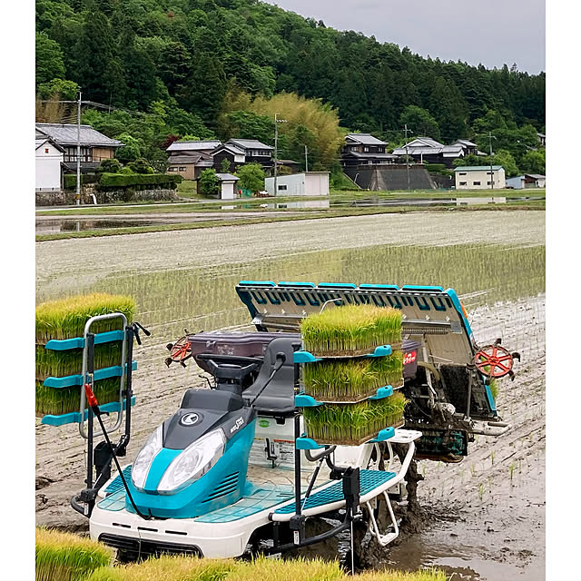 cota2さんの実例写真