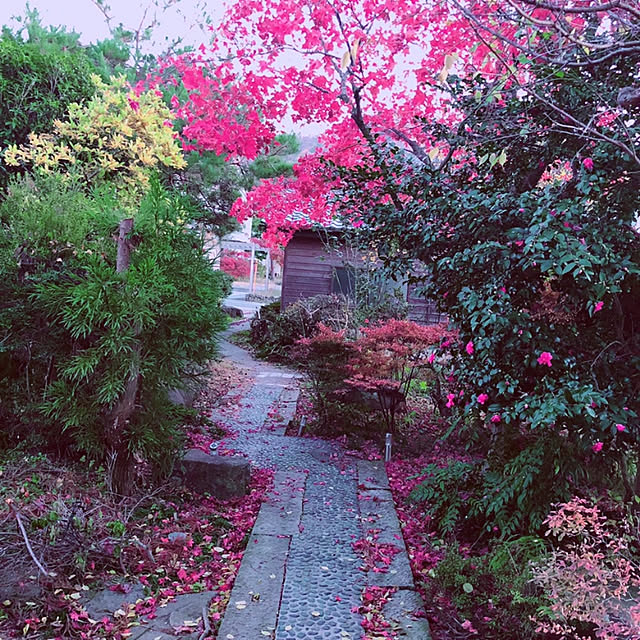 cherrycherryさんの実例写真