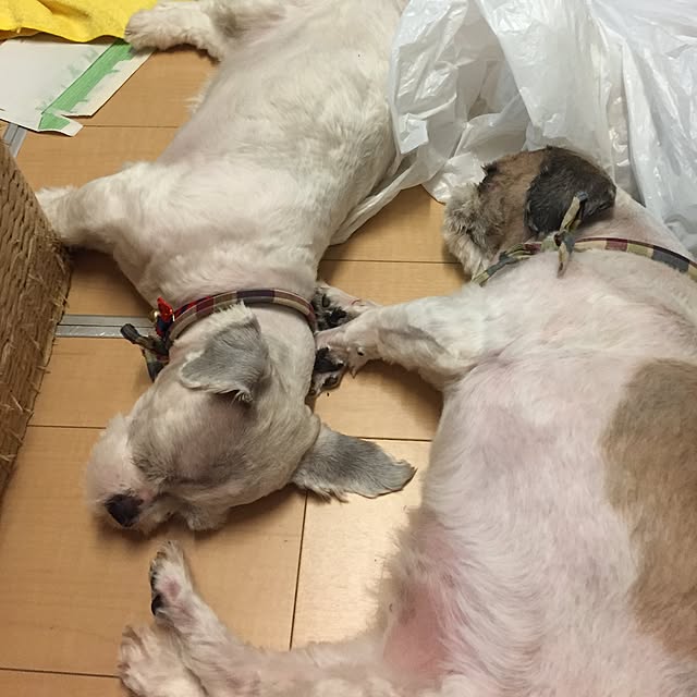 emiさんの実例写真