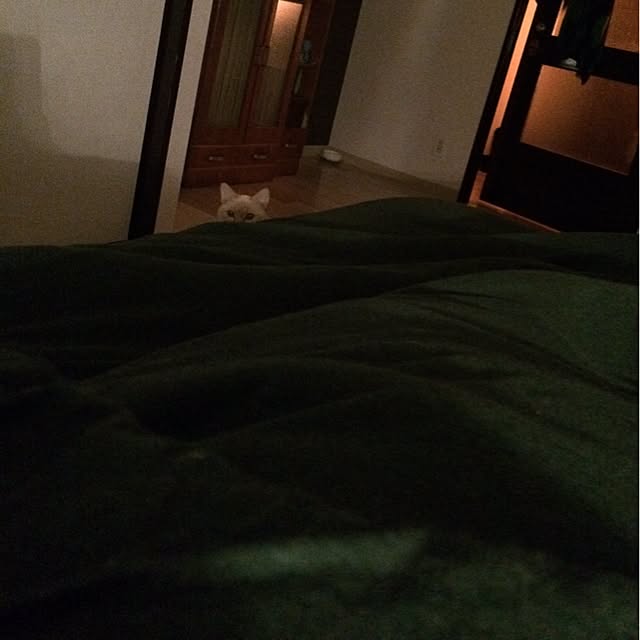 bobooooonさんの実例写真