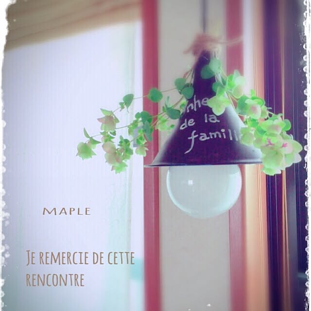 mapleさんの実例写真