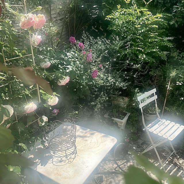 ataさんの実例写真