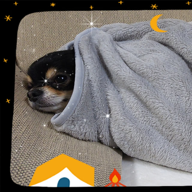 yuuyuu619さんの実例写真
