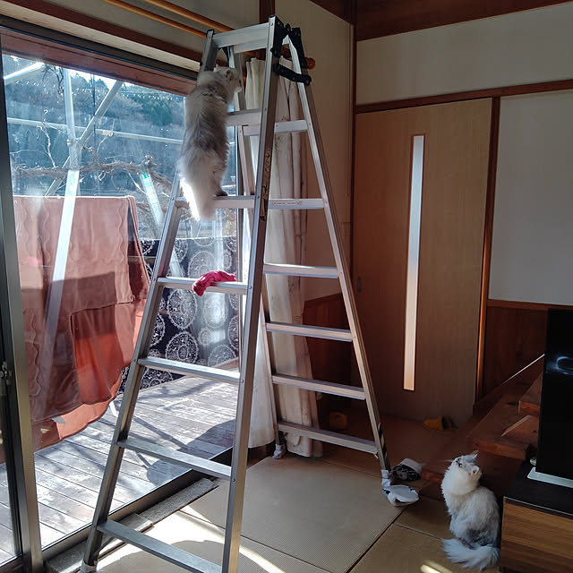 makaronさんの実例写真