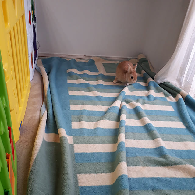 aiさんの実例写真