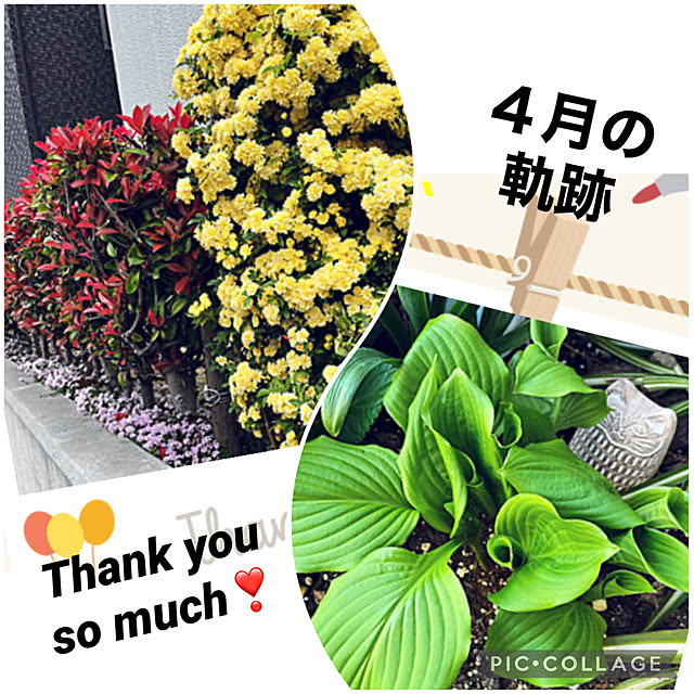 yukarin-gardenさんの実例写真