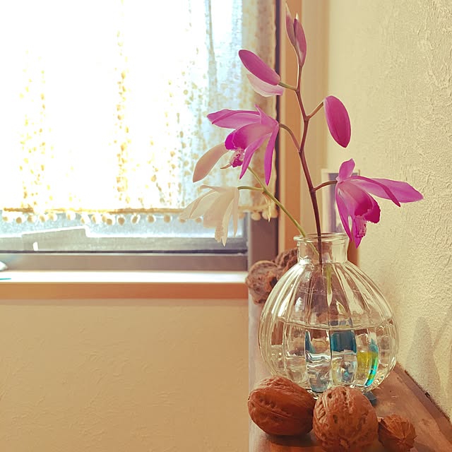 kozakura10さんの実例写真