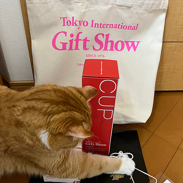 foxcave_nwさんの部屋