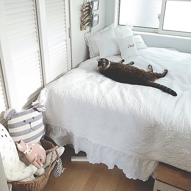lovecatさんの実例写真