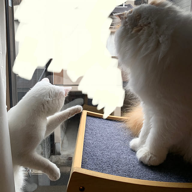keiさんの実例写真