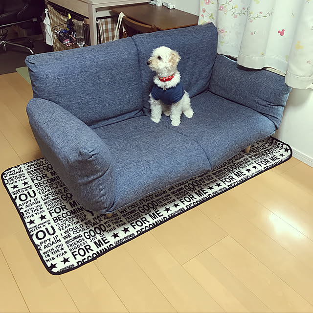 Masamiさんの実例写真