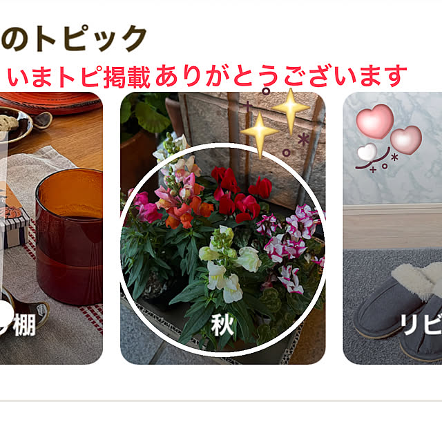 ritsukoさんの実例写真