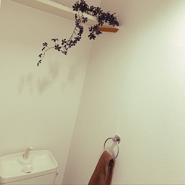 バス/トイレのインテリア実例 - 2019-11-15 23:17:42
