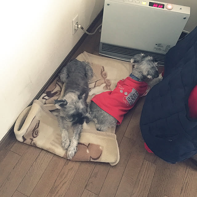 me_sweetさんの実例写真