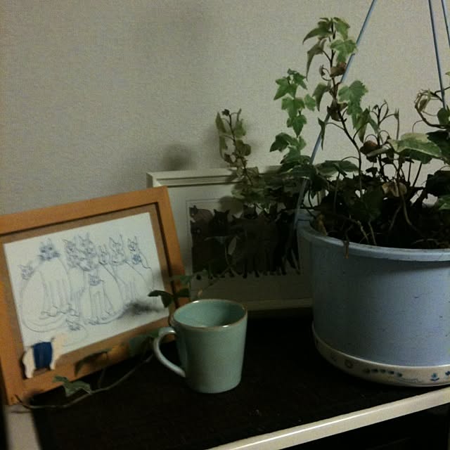 harukaさんの実例写真