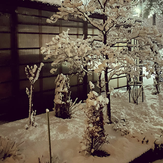 kakoさんの実例写真