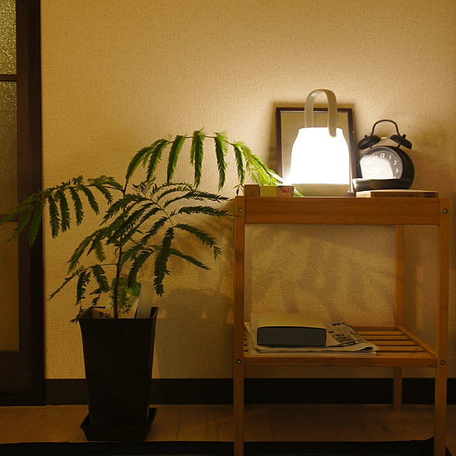 棚/照明/レトロ/一人暮らし/観葉植物...などのインテリア実例 - 2022-03-04 12:58:46