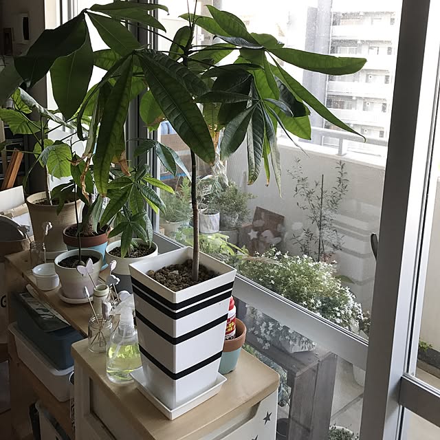 yuccoさんの実例写真