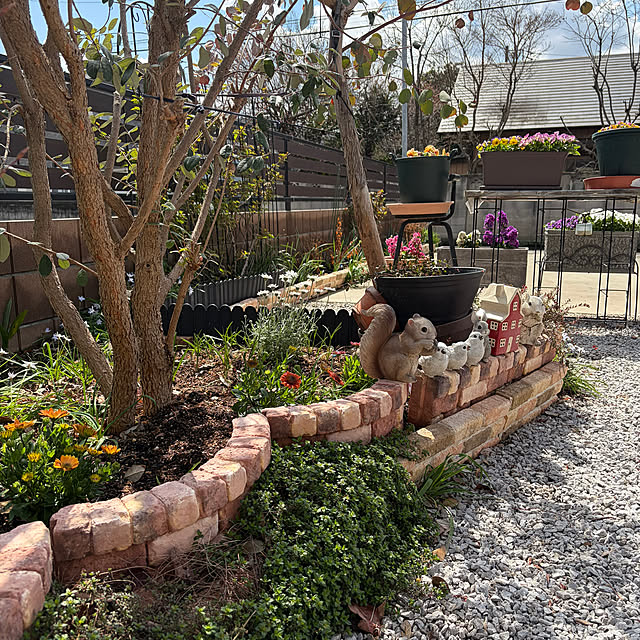 ronronさんの実例写真