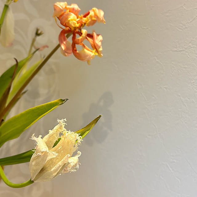 miyu39さんの実例写真