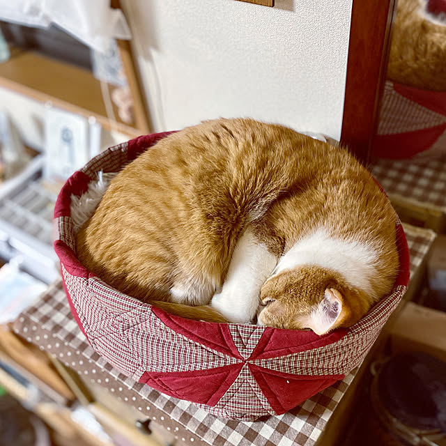 cocomaroさんの実例写真