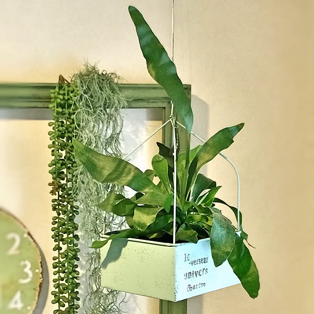 satochanさんの実例写真