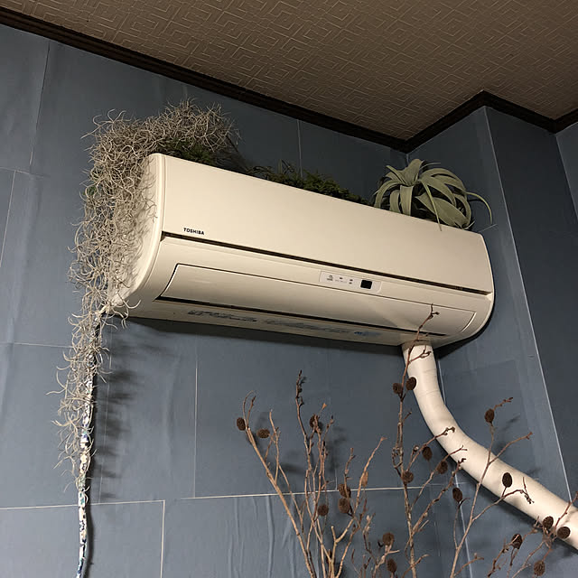 grgrさんの実例写真