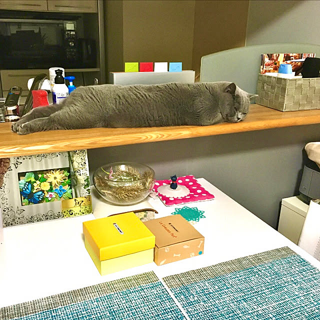 kittyさんの実例写真