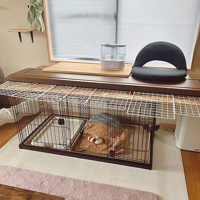 prelumoさんの部屋