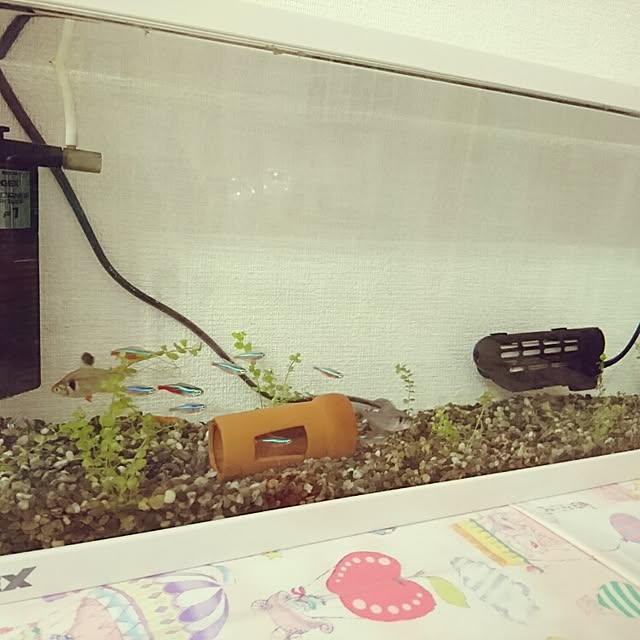 rutttttaさんの実例写真