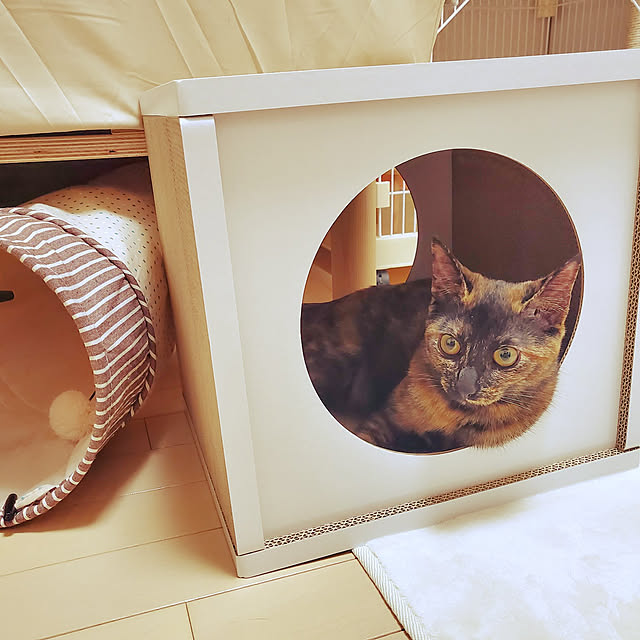 JIHYEさんの実例写真